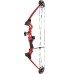 XGeek Archery Compound Bow and Arrow kit, Youth Compound Bow for Kids and Beginners, 290 Fps USA-Made Limb, 17"-27" Draw Length, 10-30 Lbs Draw Weight