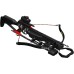 BARNETT Blackcat Recurve Crossbow Hunting Package, with Red Dot Sight, 2 Arrows, Lightweight Quiver, Shoots 260 Feet Per Second, Black Strike