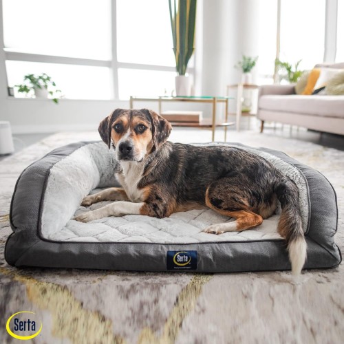 Serta Orthopedic Quilted Couch Dog Bed for Pets – Chocolate Brown (X-Large)