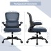 Office Chair, Ergonomic Desk Chair with Lumbar Support and Adjustable Armrests, Comfy Desk Chair Breathable Mesh Mid Back Computer Chair, Reclining Office Chair for Home Office - Darkgray