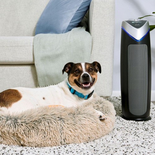 GermGuardian Air Purifier with HEPA 13 Filter, Removes 99.97% of Pollutants, Covers Large Room up to 743 Sq. Foot Room in 1 Hr, UV-C Light Helps Reduce Germs, Zero Ozone Verified, 22”, Gray, AC4825E