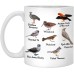 Funny Coffee Standard Creative Unique Nice tites birds lover mug for Man, Women, Novelty Birthday Gift for Father Friends Family