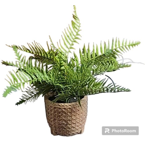 Traditional polyethylene green plastic plants