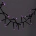 60ct LED Dewdrop Halloween Fairy String Lights Garland Purple - Hyde & EEK! Boutique™