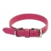 Royce Leather Perry Street Dog Collar