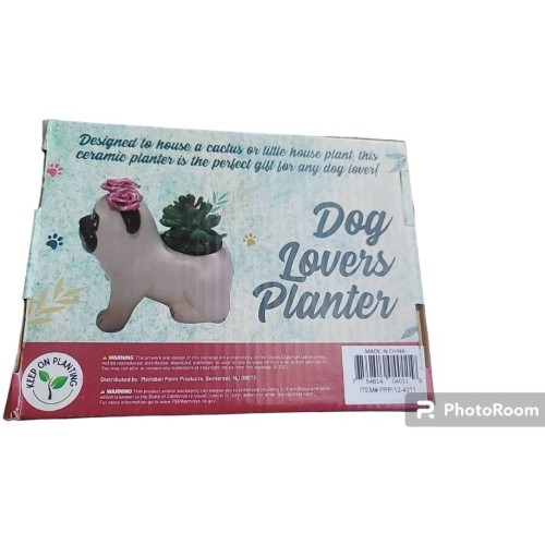 Dog Lovers Planter Succulent Gift: Choose From Dachshund, Pug, French Bulldog