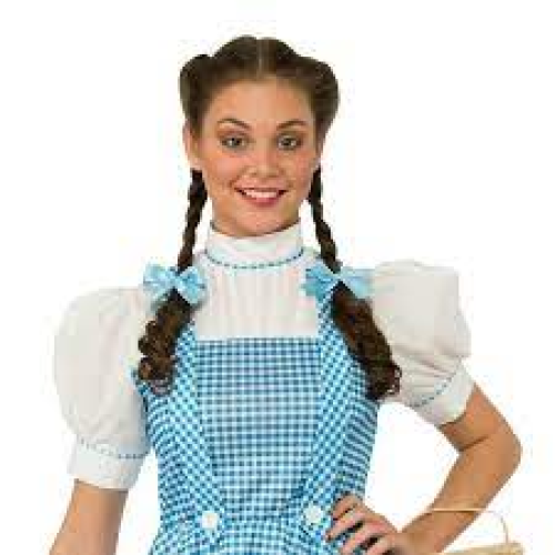 Womens Officially Licensed Dorothy Halloween Costume O/S