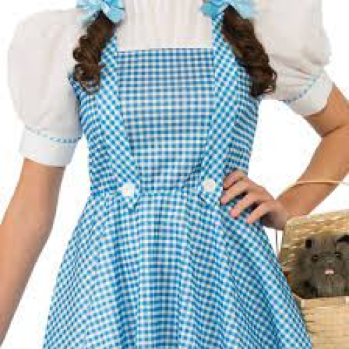 Womens Officially Licensed Dorothy Halloween Costume O/S