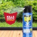 Raid Flying Insect Killer Formula - Outdoor Fresh Scent