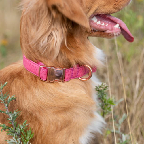 Vibrant Life Embossed Adjustable Dog Collar, Raspberry Pink, S