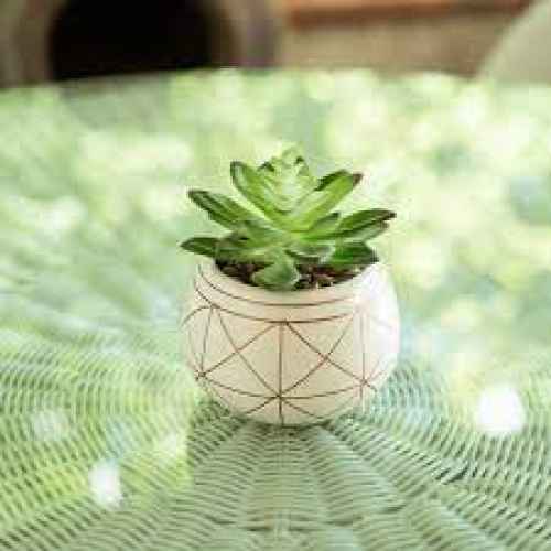 Mainstays 4 Artificial Succulent in Geometric Print White C