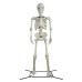 Poseable Giant Skeleton Halloween Outdoor Decorations Way to Celebrate, 10 Feet