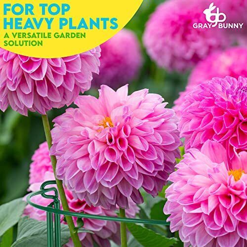 Plant Support for Tall Plants - 2 Pack - Large 15" X 30" 2-Pack Half Round