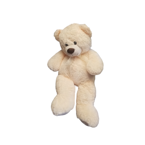 Plush Teddy Bear