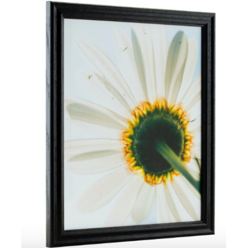 ECONOMY 21.5 in x 27.5 in EBONY HARDWOOD PICTURE FRAME