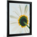 ECONOMY 21.5 in x 27.5 in EBONY HARDWOOD PICTURE FRAME