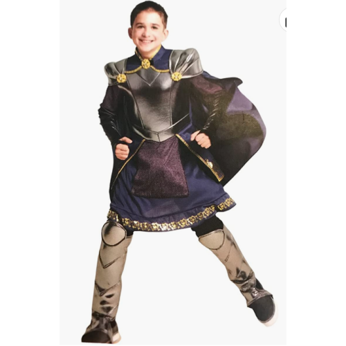 Hyde and Eek! Kids' Costume - Brave Knight (Large, 12-14)