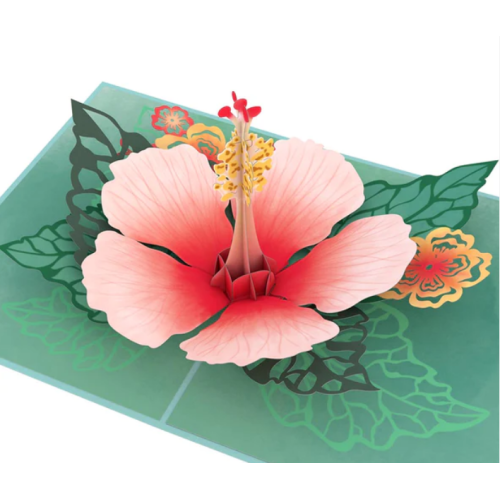 Hibiscus Bloom Pop-Up Card pack of 2