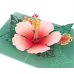 Hibiscus Bloom Pop-Up Card pack of 2