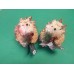 BEE & WILLOW Classic WOODLAND CRITTER HODGEHOD Decoration set of 2