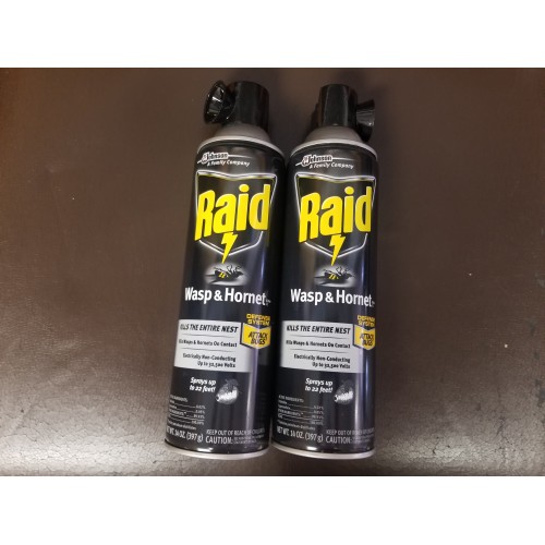 Raid Wasp & Hornet Killer Spray, Bug Killer Kills the Entire Nest For Insects 14 Oz, 2 Count