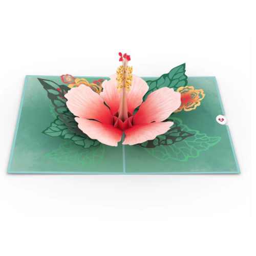 Lovepop Hibiscus Bloom Pop-Up Card