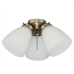 ELITE Ceiling Fan LED Light Kit 3 Cluster Antique Brass Finish Frosted Glass