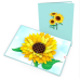 Lovepop Sunflower Bloom Pop-Up Card