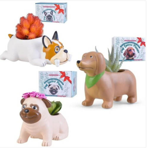 Dog Lovers Planter Succulent Gift: Choose From Dachshund, Pug, French Bulldog