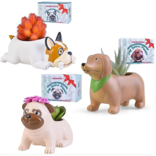 Dog Lovers Planter Succulent Gift: Choose From Dachshund, Pug, French Bulldog