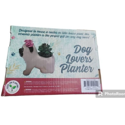 Dog Lovers Planter Succulent Gift: Choose From Dachshund, Pug, French Bulldog