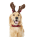 REINDEER ANTLERS X/XL set of 4