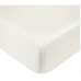 Nestwell Cotton Percale 400-Thread-Count Fitted Sheet - Egret