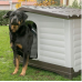 Ferplast Outdoor Kennel, Dog House DOGVILLA 50 in Resistant Thermoplastic Resin