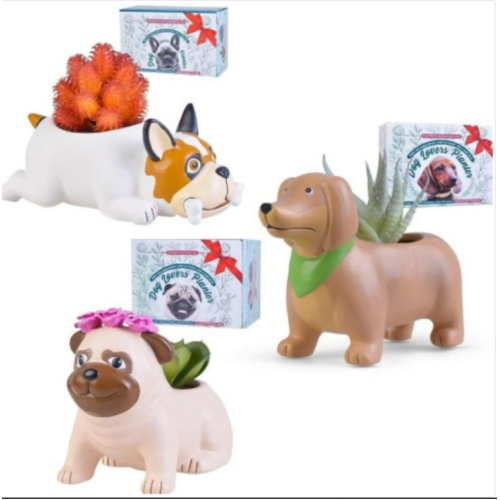 Dog Lovers Planter Succulent Gift: Choose From Dachshund, Pug, French Bulldog