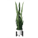 flybold Artificial Fake Snake Plants - Faux Indoor Plant - Modern Decor Artificial House Plant - Large Faux Sansevieria Plant with 28 Tall Leaves - Includes White Pot and Tripod - Green - 36in