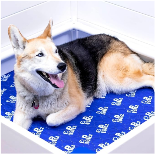 Whelping Box for Large Breed Dogs Whelping Box for Dogs Dog Whelping Box Whelping Box for Puppies (48"x48"x18" White)