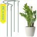 Plant Support for Tall Plants - 2 Pack - Large 15" X 30" 2-Pack Half Round