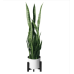 flybold Artificial Fake Snake Plants - Faux Indoor Plant - Modern Decor Artificial House Plant - Large Faux Sansevieria Plant with 28 Tall Leaves - Includes White Pot and Tripod - Green - 36in