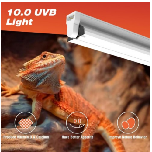 Hypool T5 UVB Reptile Light Fixture Including 2 Pack Bulbs HO 24W Reptile Amphibian Habitat Lighting Combo Kit with 22'' 10.0 UVB Bulb Desert Pet Habitat Lamp (24W-Fixture-Combo)