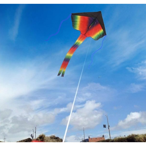 Delta Rainbow Kite