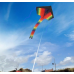 Delta Rainbow Kite