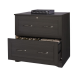 Pelingo 30-1/2"W x 21-13/16"D Lateral 2-Drawer File Cabinet, Dark Gray