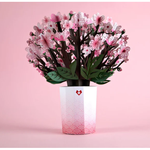 Lovepop Cherry Blossom Bouquet