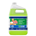 Mr. CLEAN PROFESSIONAL FINISHED FLOOR CLEANER