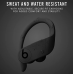 Beats Powerbeats Pro Wireless Earbuds - Apple H1 Headphone Chip, Class 1 Bluetooth Headphones, 9 Hours of Listening Time, Sweat Resistant, Built-in Microphone - Black