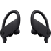 Beats Powerbeats Pro Wireless Earbuds - Apple H1 Headphone Chip, Class 1 Bluetooth Headphones, 9 Hours of Listening Time, Sweat Resistant, Built-in Microphone - Black