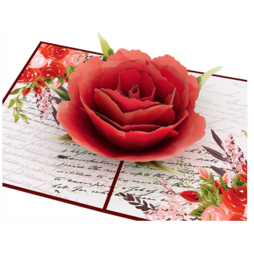 Love Rose Bloom Pop-Up Card Lovepop 