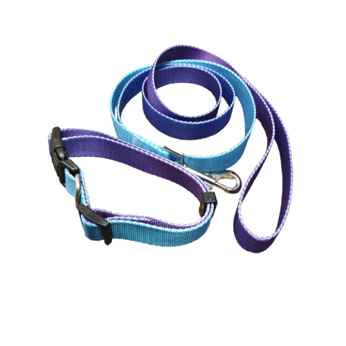 Top Paw® Pink & Teal Ombre Dog Collar and leash set