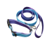 Top Paw® Pink & Teal Ombre Dog Collar and leash set